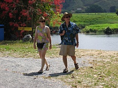 CairnsTC368 Daintree